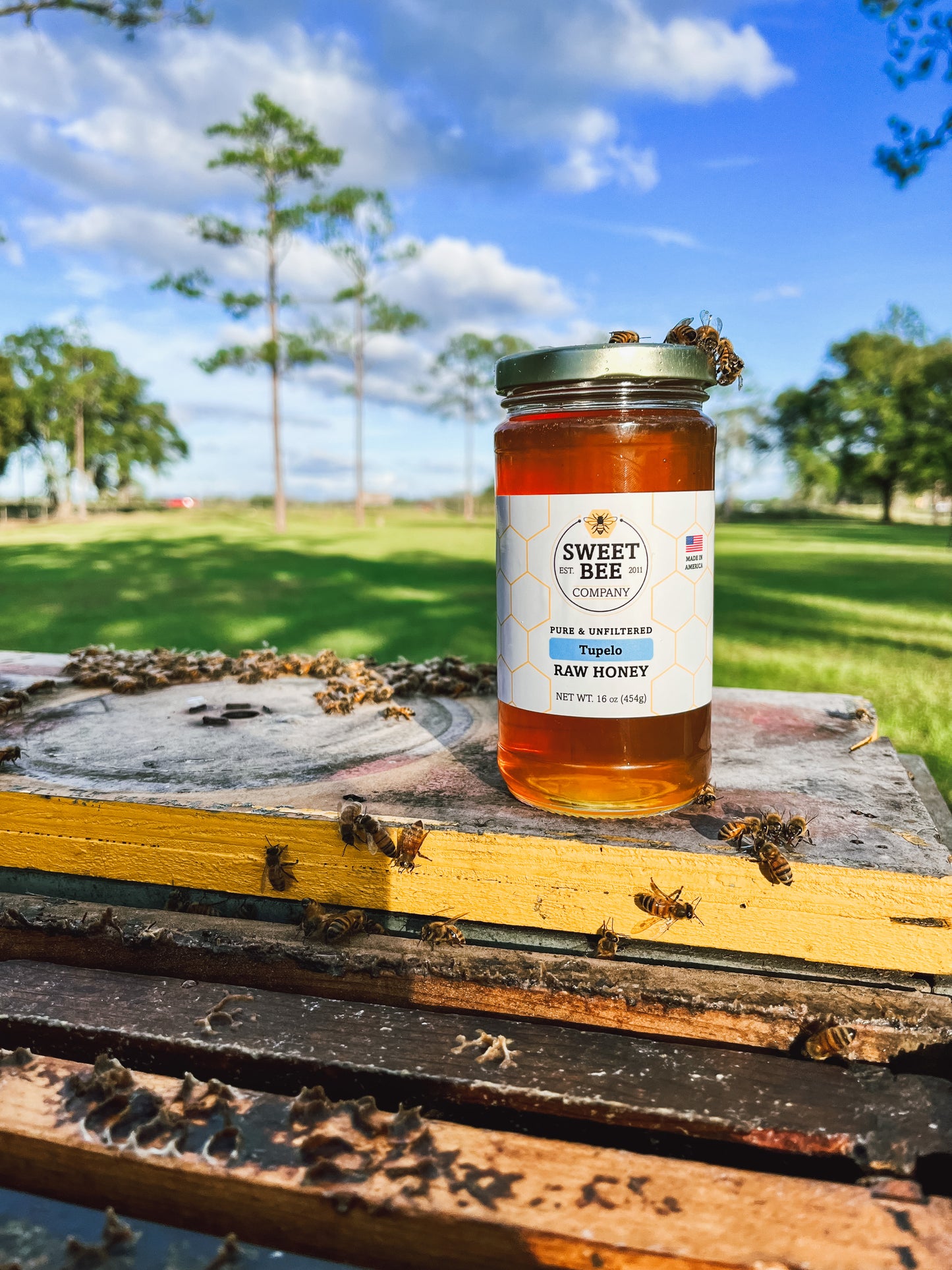 Tupelo Honey