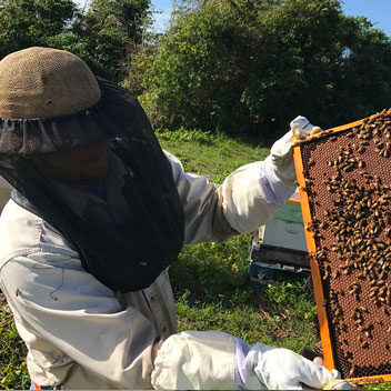 In the news: Keith talks bees, real and unfiltered: