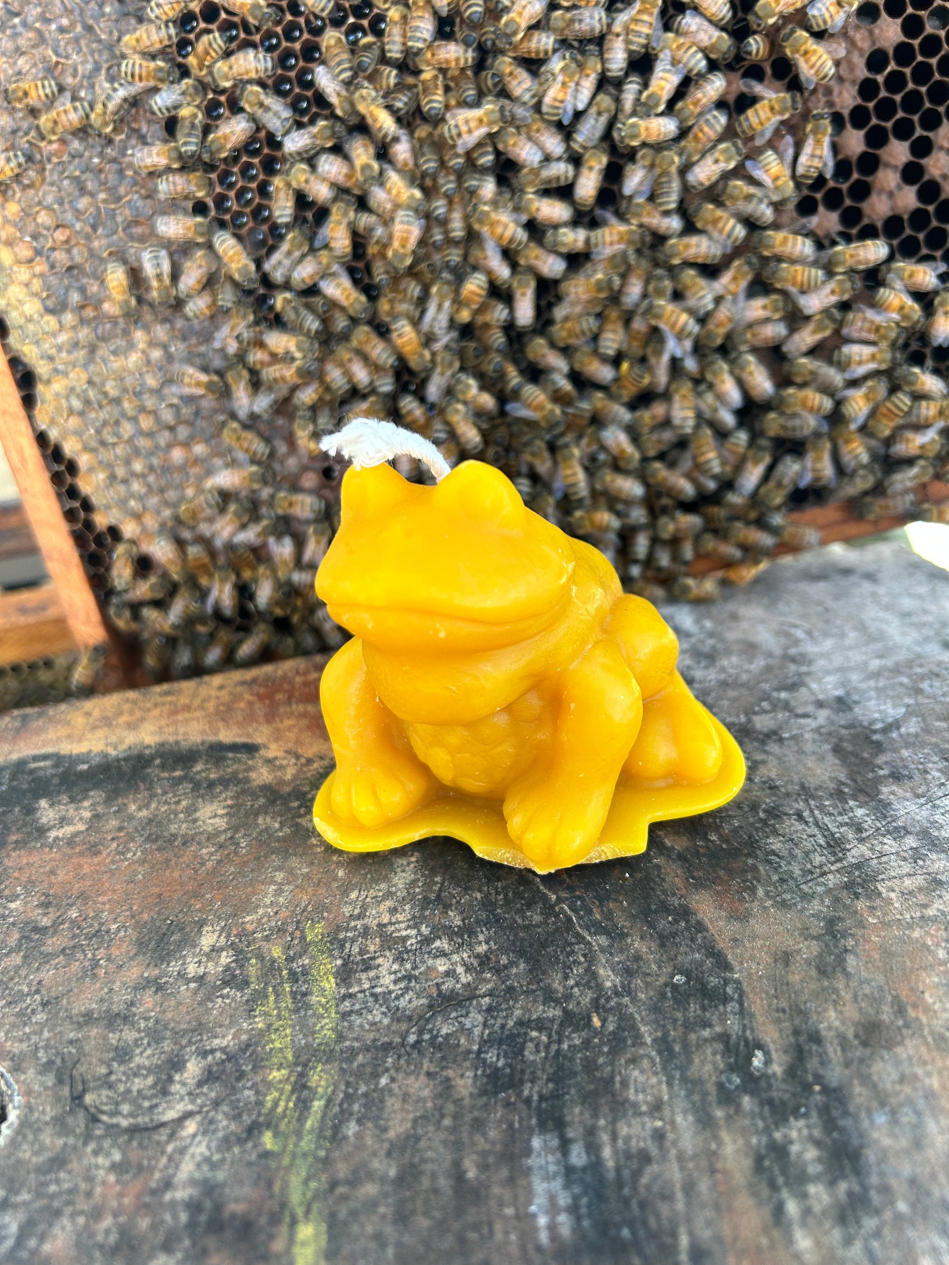 100% Pure Beeswax Frog Candle