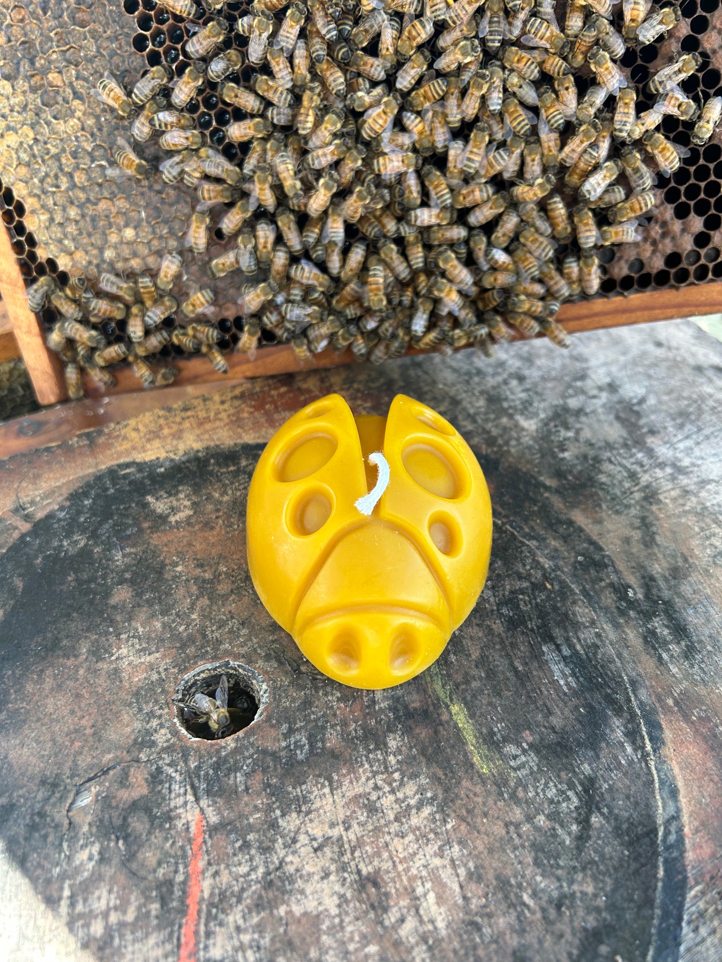 100% Pure Beeswax Ladybug Candle