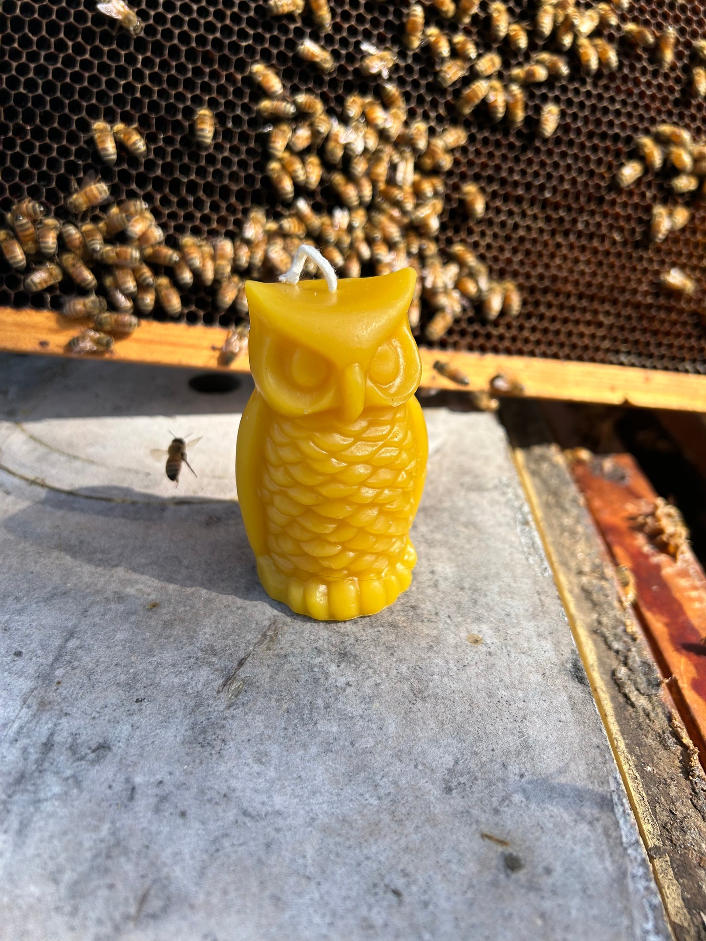 100% Beeswax Owl Candle