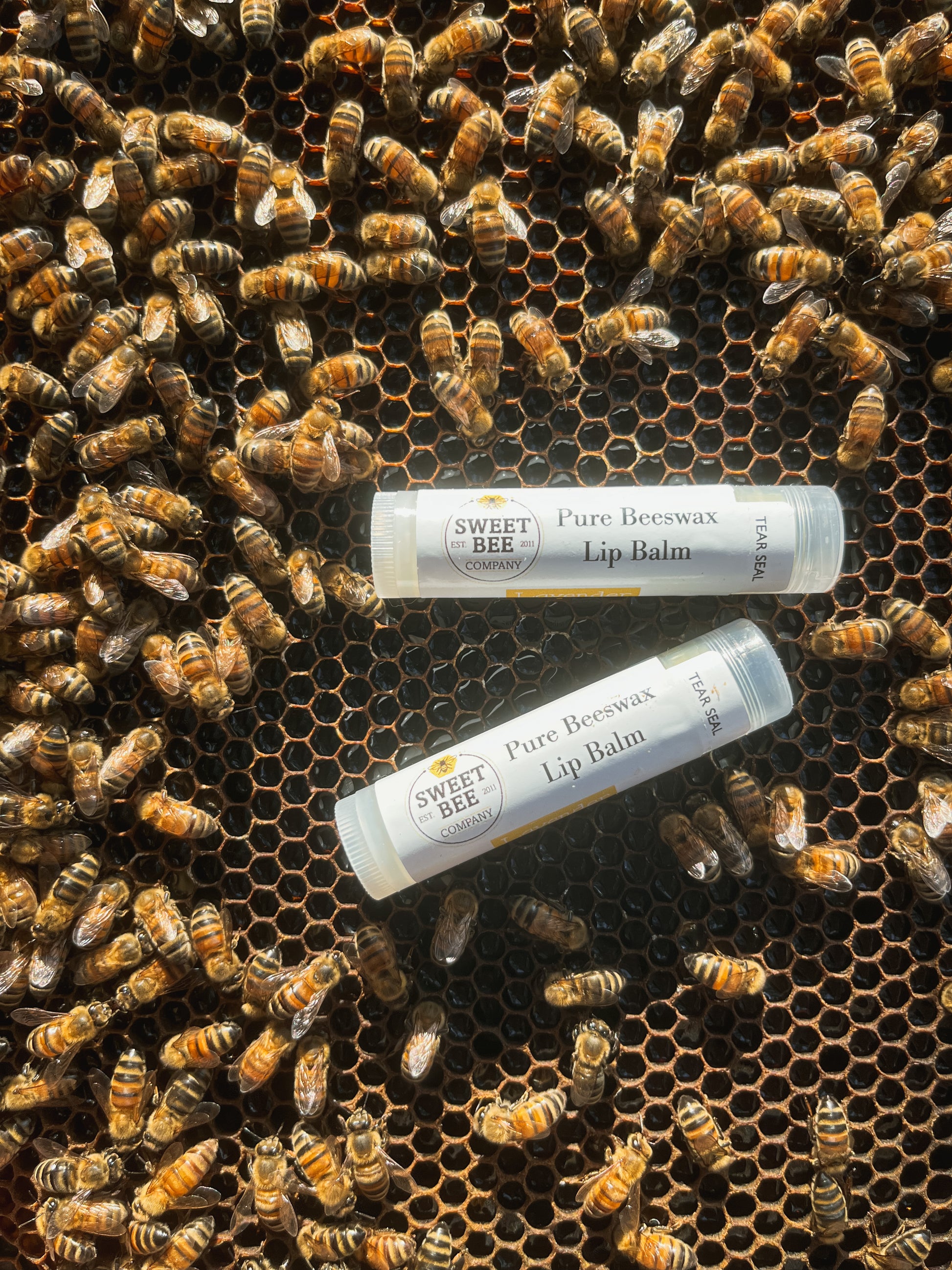 All Natural Beeswax Lip Balm - Zack's Bees
