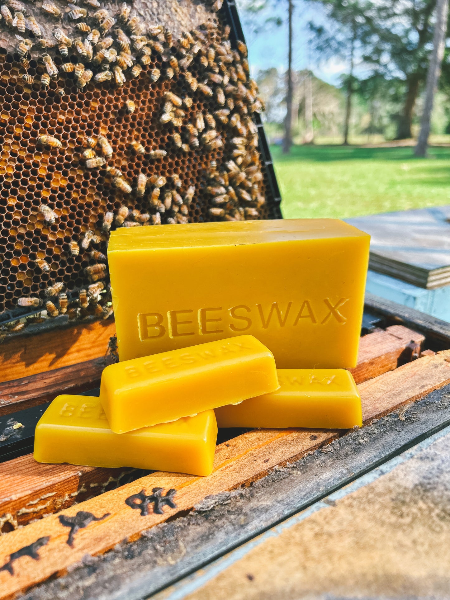 Raw and Pure Beeswax Bars